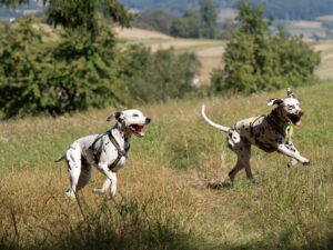 Lumi und Frieda