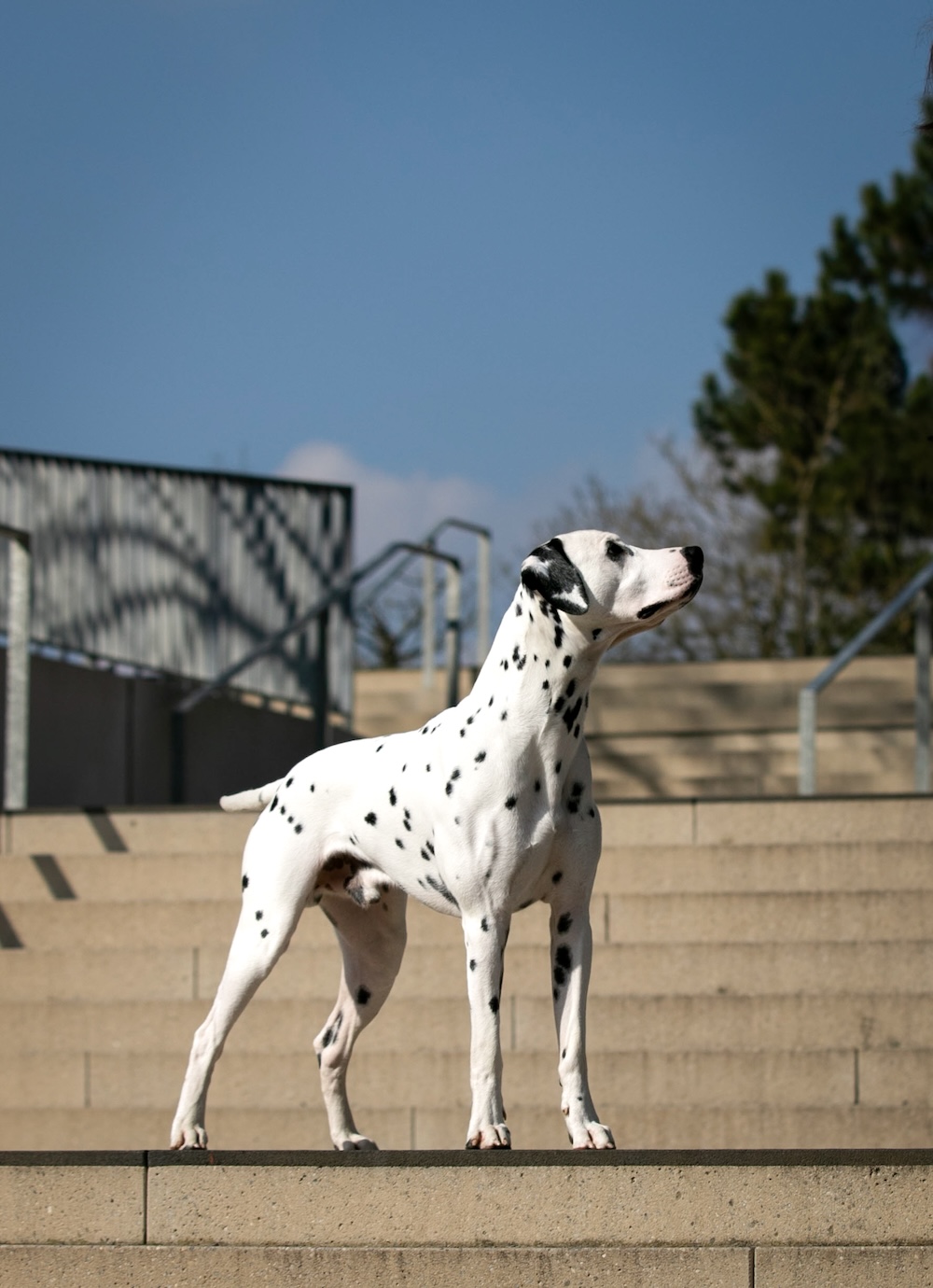Lumi 2