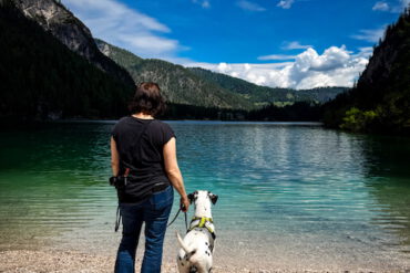 Rabbits Revenge von Abasko am Pragser Wildsee