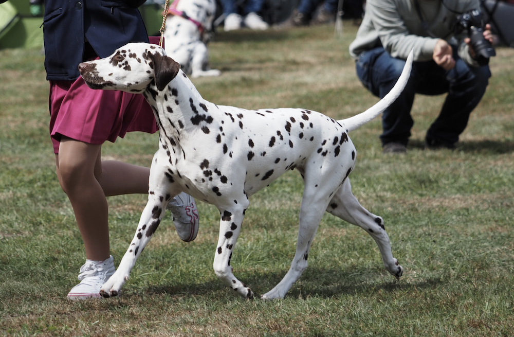 Bildschirmfoto 2025 09 15 um 22.57.15