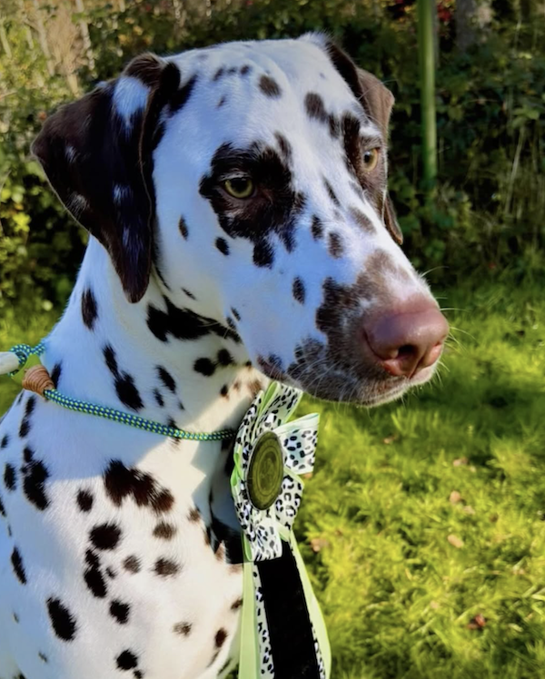 Bildschirmfoto 2025 09 24 um 19.30.08