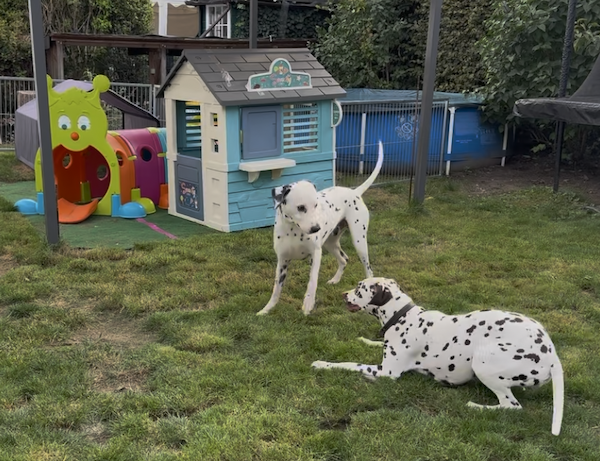 Bildschirmfoto 2025 09 24 um 19.47.25