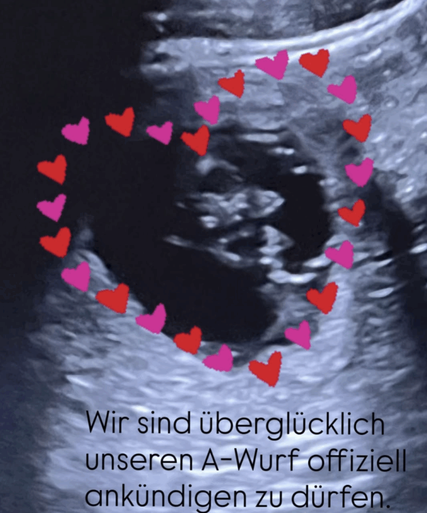 Bildschirmfoto 2025 10 18 um 23.31.00