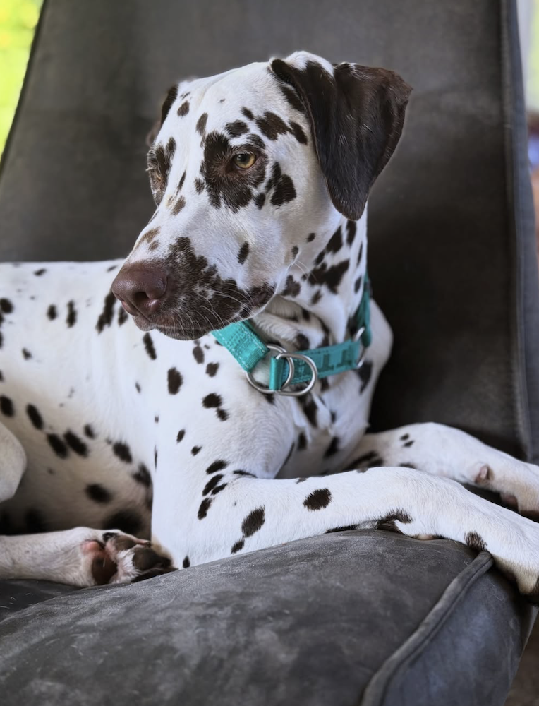 Bildschirmfoto 2025 10 18 um 23.32.54