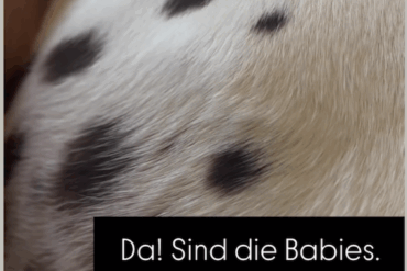 Bildschirmfoto 2025 11 01 um 19.33.04 kopie