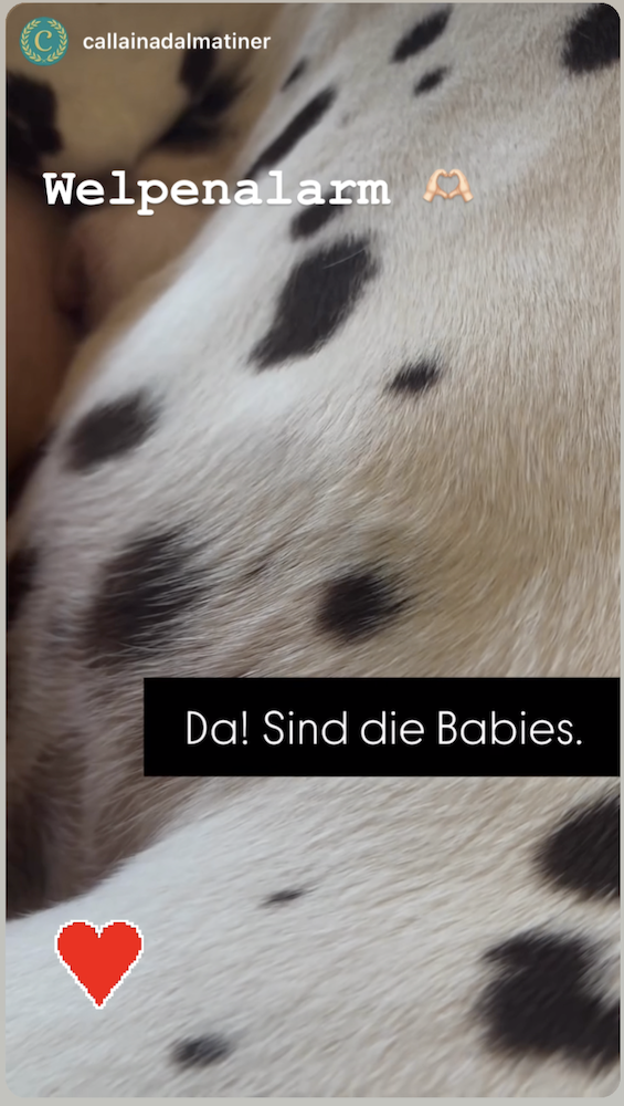 Bildschirmfoto 2025 11 01 um 19.33.04 kopie