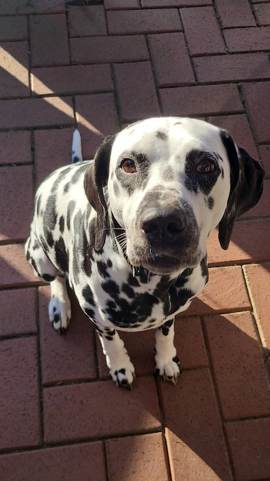 WhatsApp Image 2026 03 01 at 16.13.15 (1)