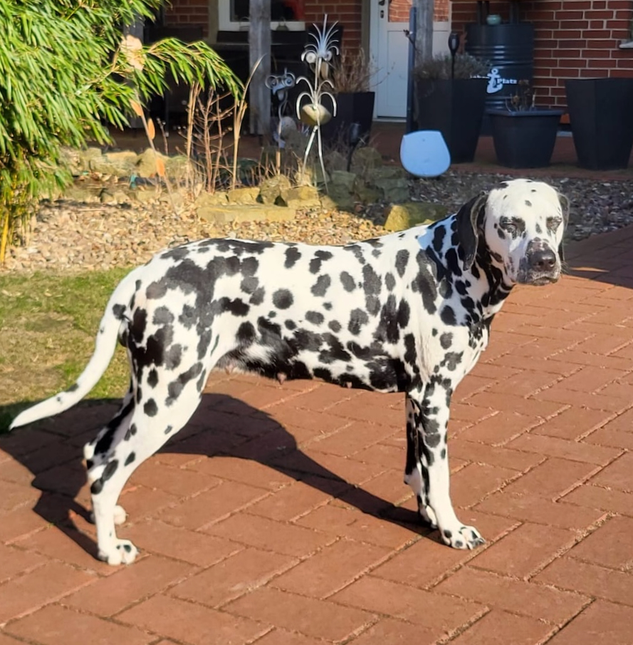 WhatsApp Image 2026 03 04 at 14.17.31 (1)